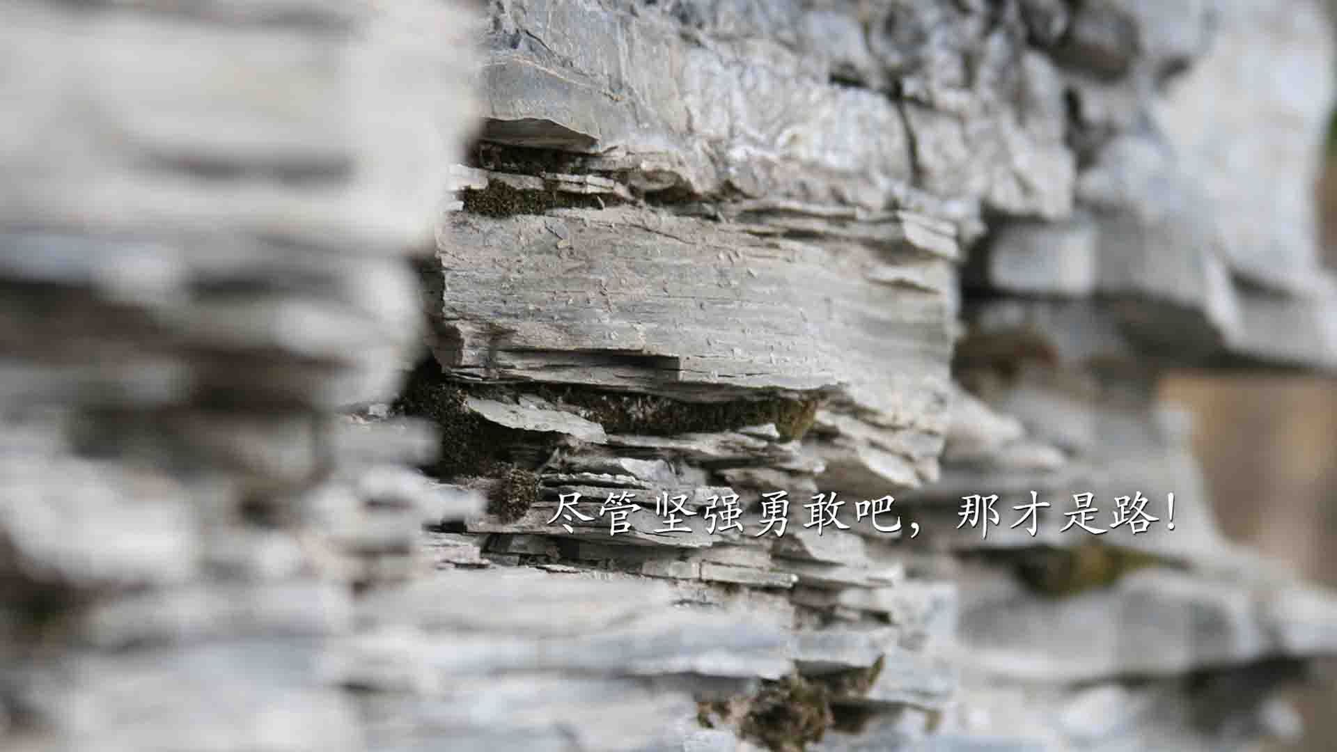 手术刀，交响乐，与巴尔韦德的全场最优解—解剖巴黎斩落马竞的战术之夜