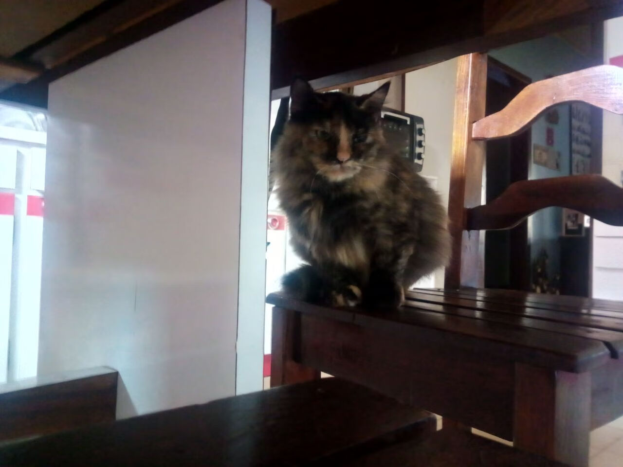 独行于死荫峡谷,莫兰特与他的重生之夜