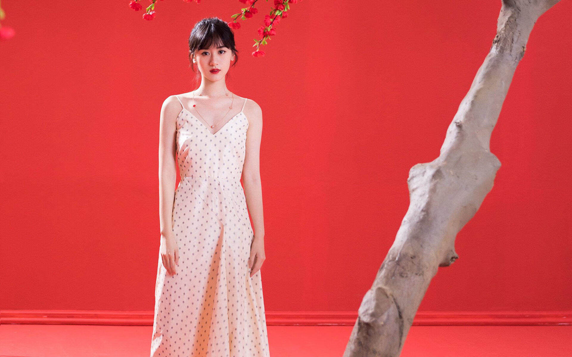 2026世界杯焦点战，突尼斯关键战突围的国际米兰制造基因