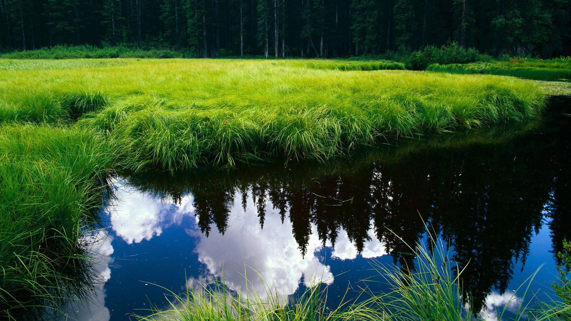 乌拉圭压制新西兰,奥纳纳接管F1街道赛,全面控制的双重奏