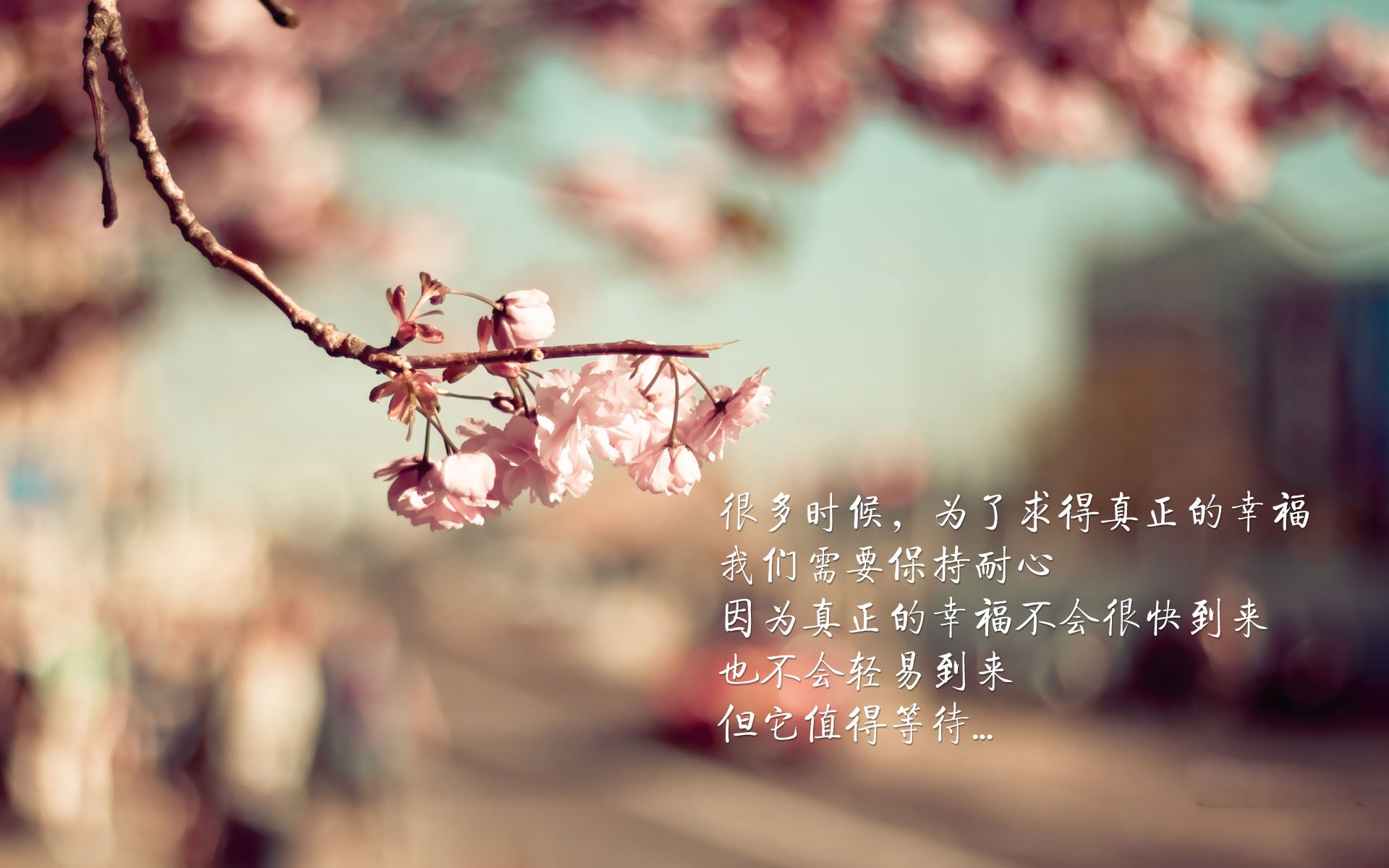 星光迷失芝加哥,当湖人公牛的对决,成了班凯罗的独角戏