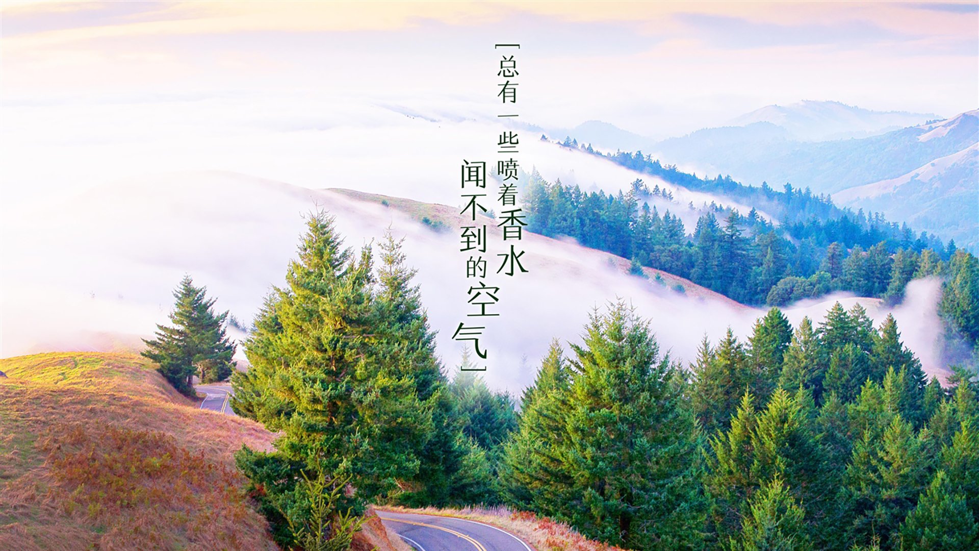 (可选方案)