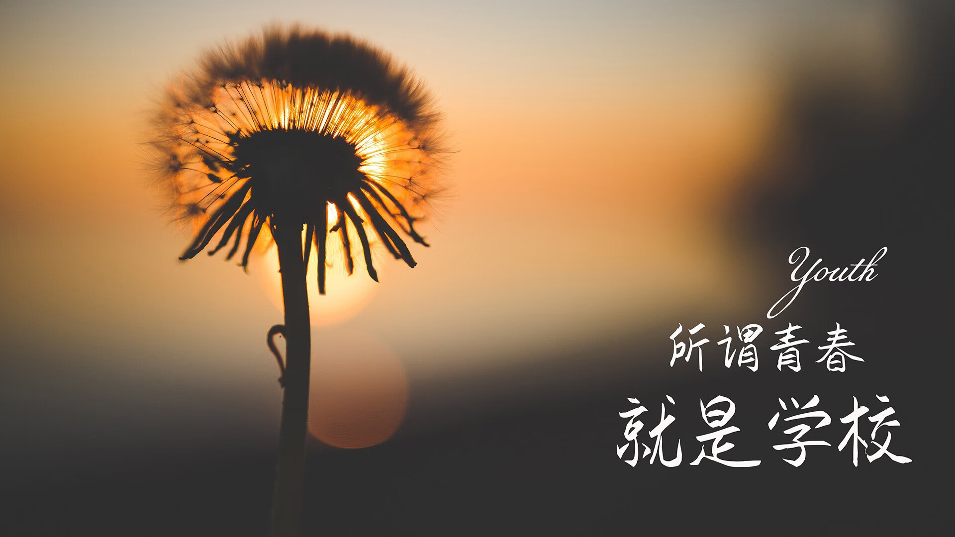 红与蓝的裂变,福登的十分钟,如何将巴尔干火药桶炸成南美不落之星的绝唱