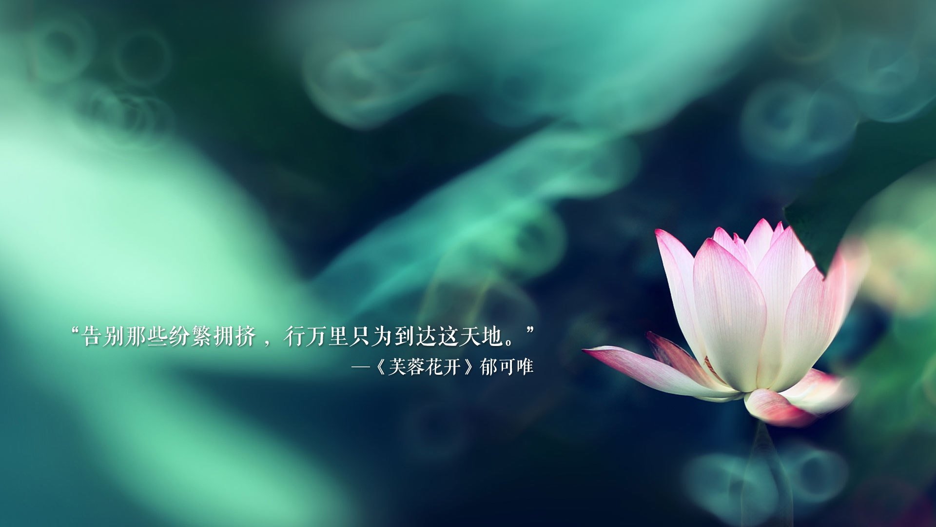 极光截击火焰，京多安的致命寒冰与沙漠中的替补奇兵—2026世界杯E组，冰岛是如何用一场古典神话收割胜利的